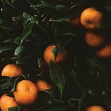 EL Tahitian Waters Notes 2