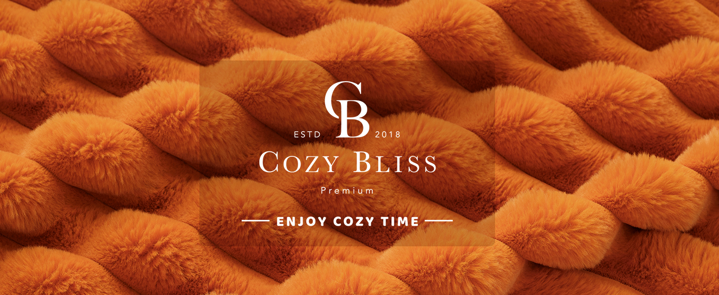 Cozy Bliss Faux Fur Throw Blanket for Couch, Cozy Warm Plush Striped Blanket for Sofa Bedroom