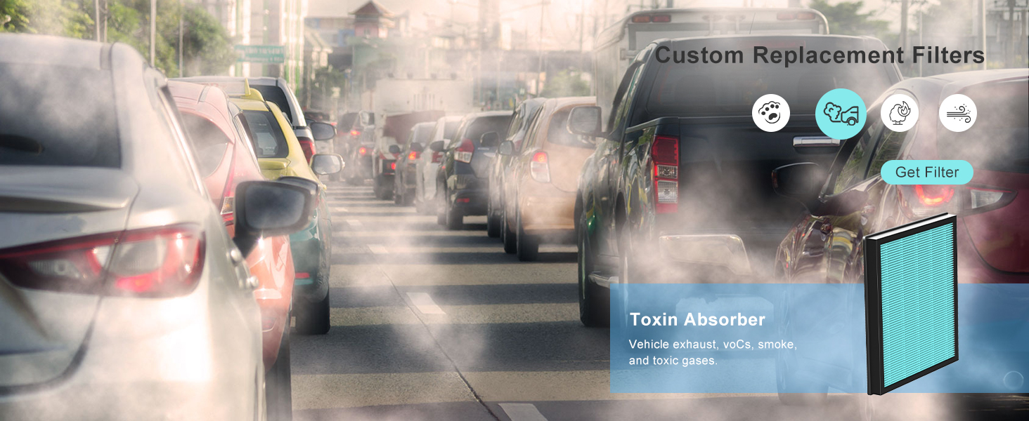 air filter for toxin absorber