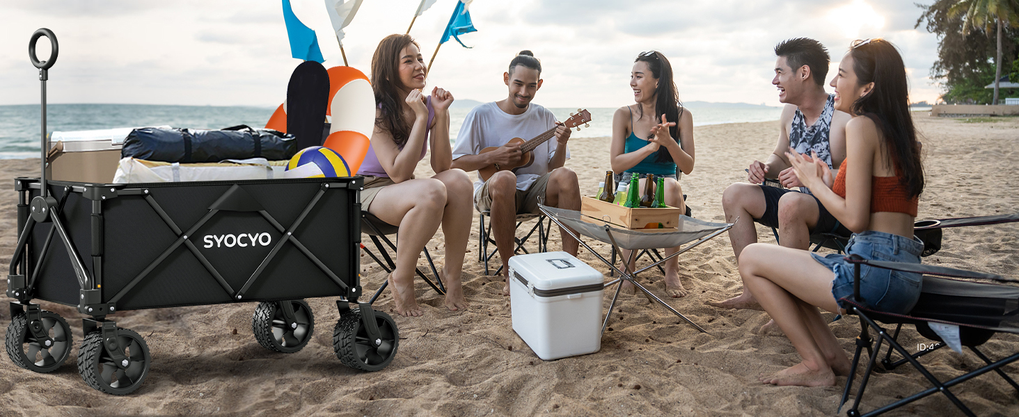 beach wagon cart