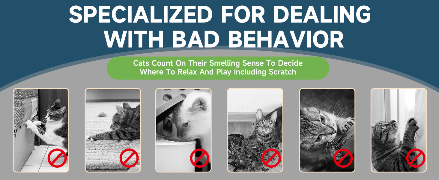 cat deterrent