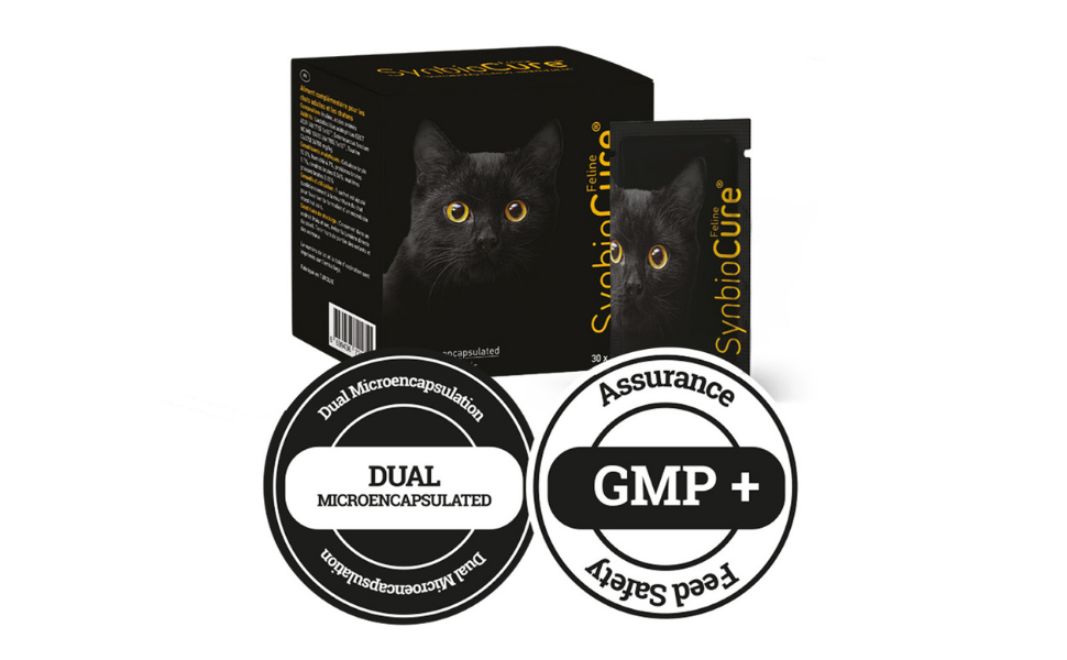 SynbioCure I Probiotics & Prebiotics for Cats I Powder Cat Supplement I Digestive