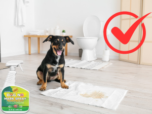 dog repellent spray