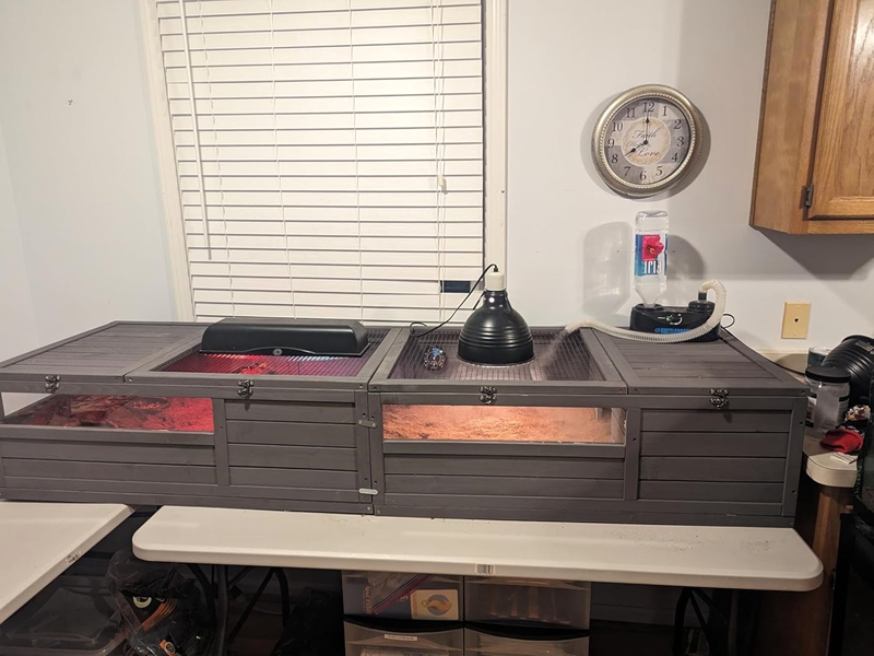 large reptile enclosure