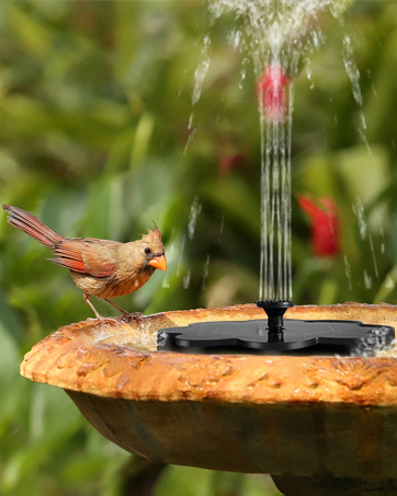 solar fountain for bird bath