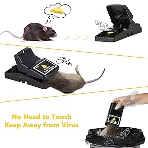 Rat Trap