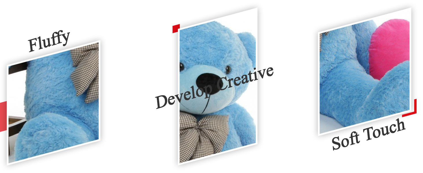 Teddy Bear