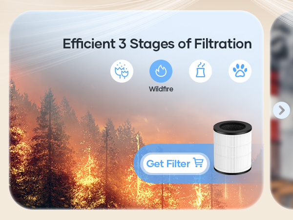 air purifier for wildfire