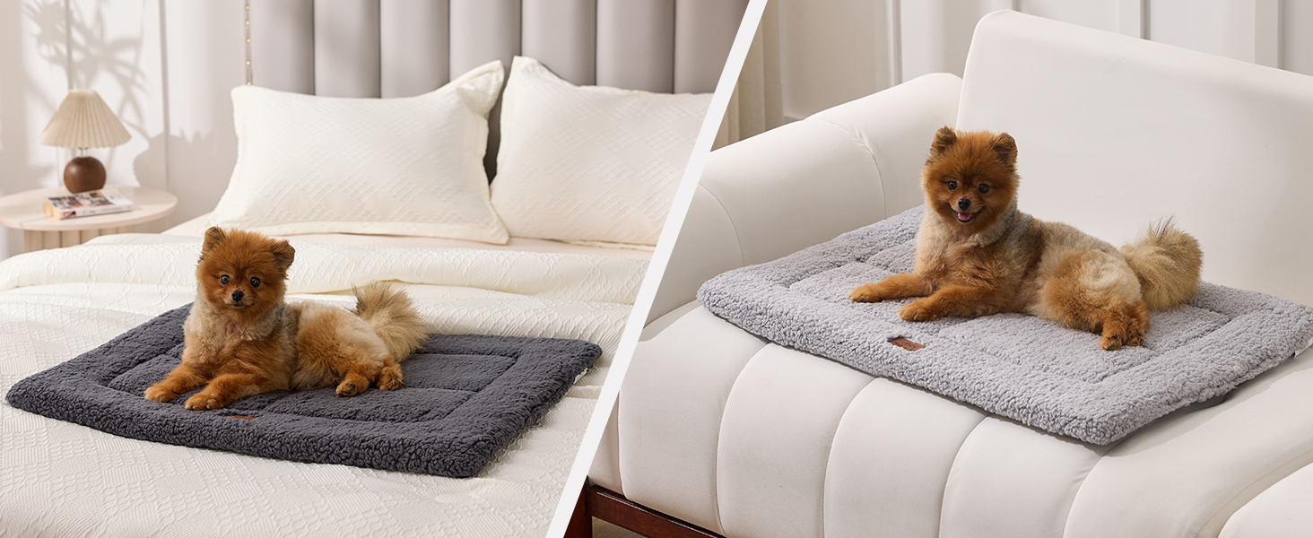 Joydeco dog bed mat for crate kennel washable machine living room sofa coach