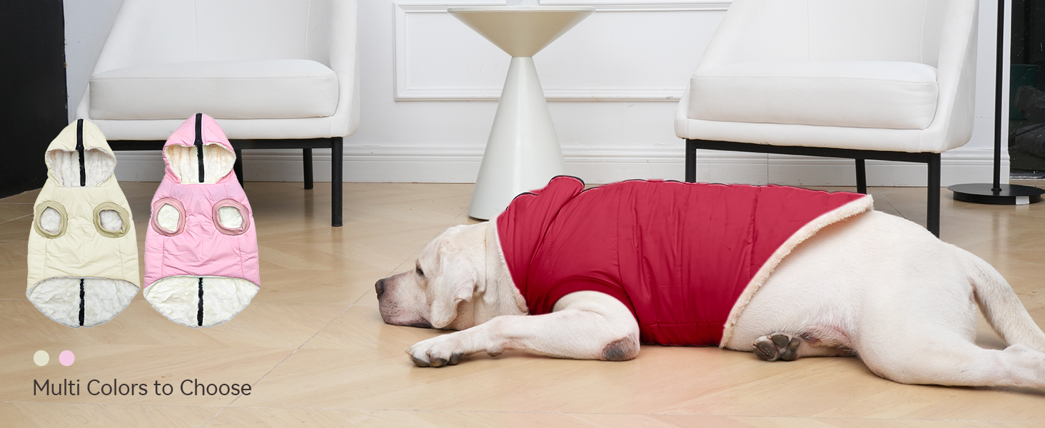 Extra Warm Medium Dog Jacket in Winter Doggie Coats with Hooded