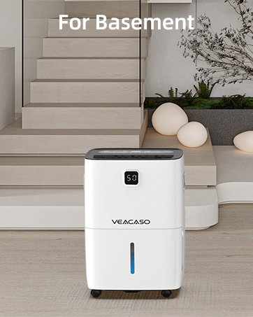 dehumidifier for basement