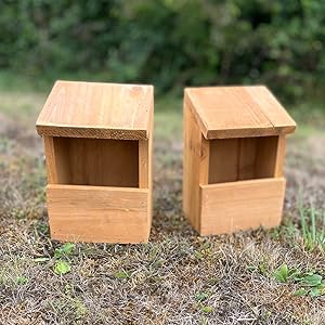 bird house