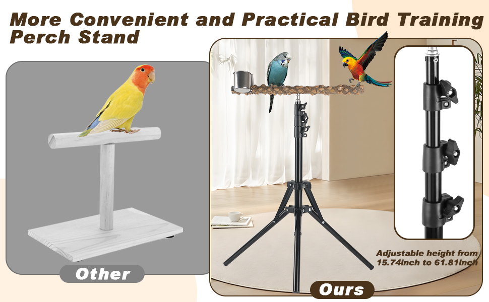 Amazon.com : Adjustable Bird Perch Stand, 16-62 Inch Height