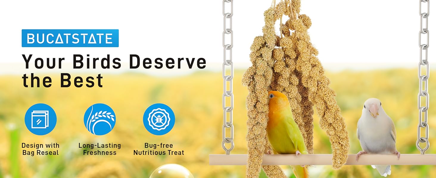 spray millet