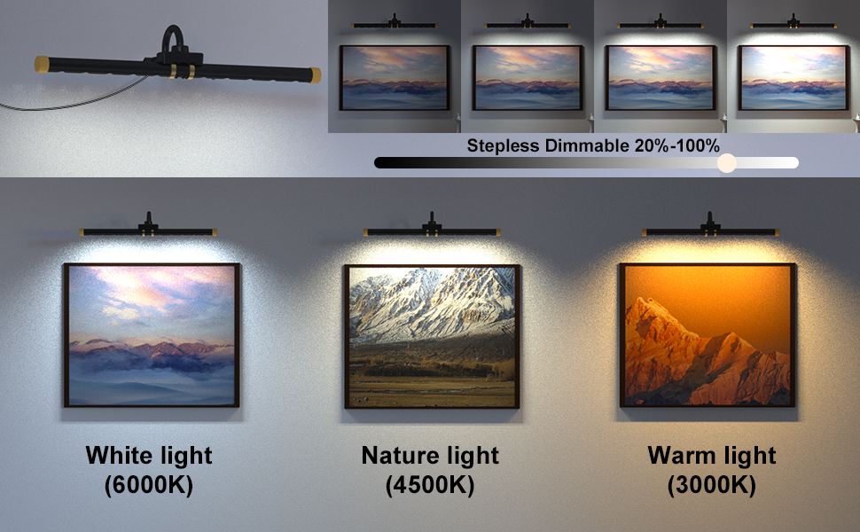 Dimmable Painting light