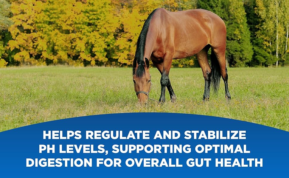 Helps Regulate and Stabalize Ph Levels