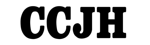 barn door floor gide