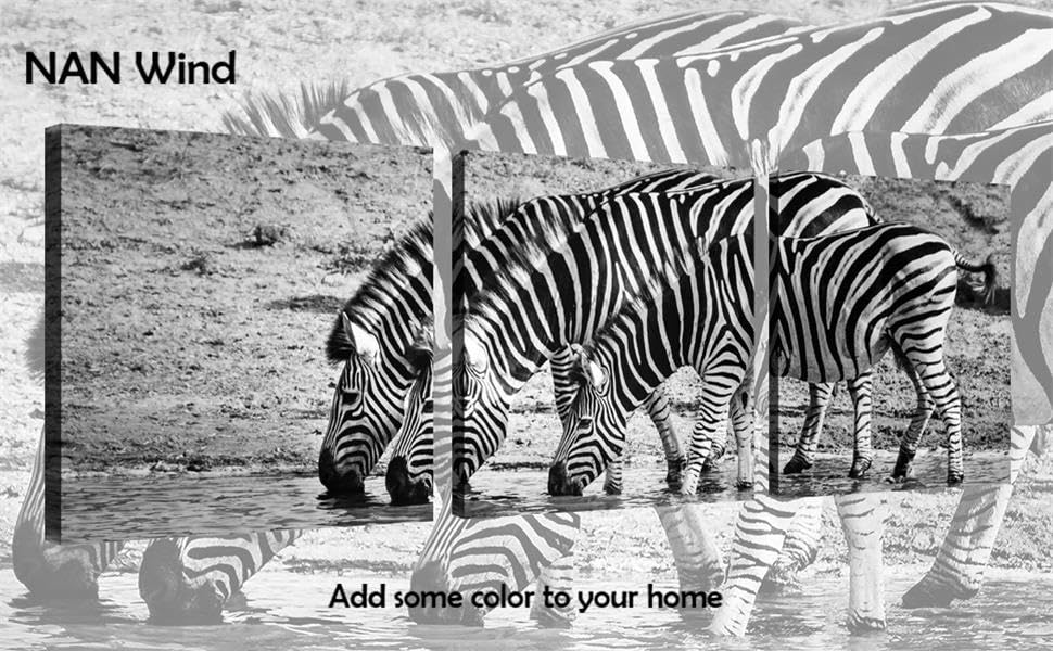 Zebra Wall Art Canvas Wildlife Wall Decor Black and White