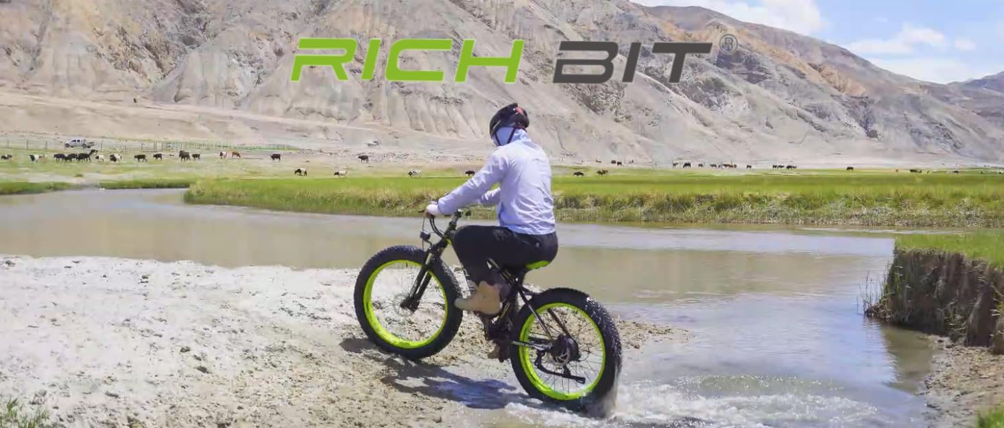 bike electric for adults