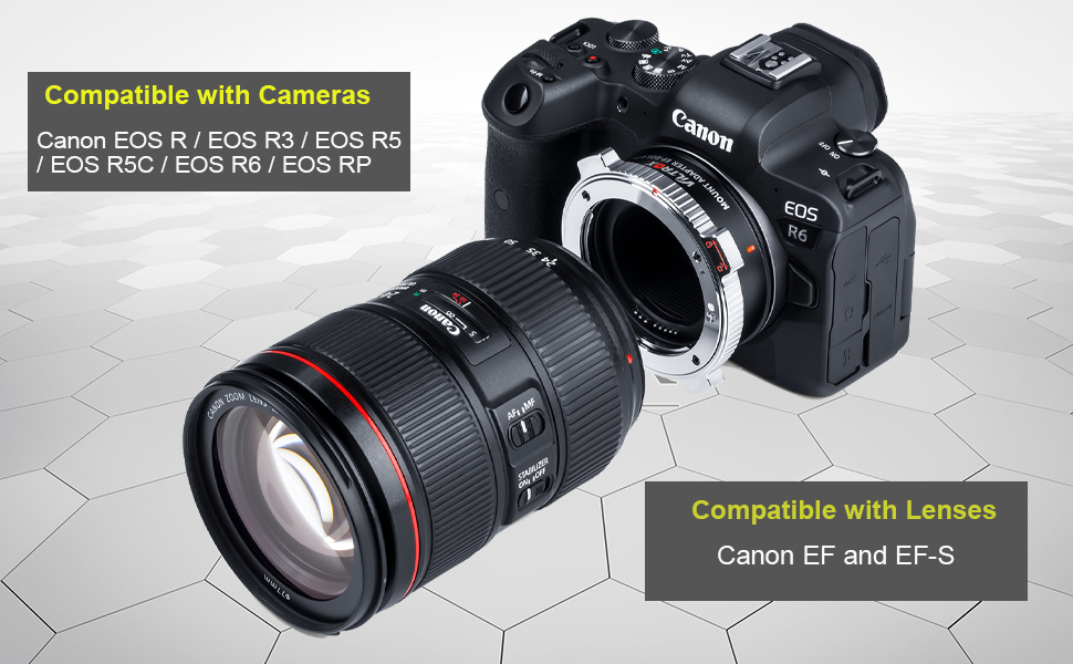 Amazon.com : EF-EOS R Pro Auto Focus Lens Mount Adapter with