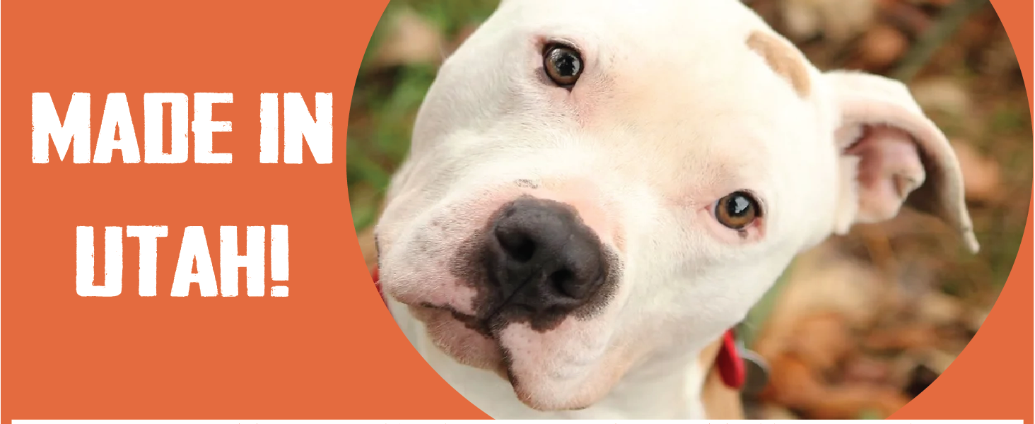 bully boys dog treats