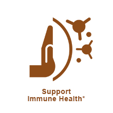 support Immune Health
