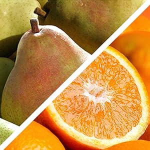 Juicy Comice Pears and Plump Navel Oranges