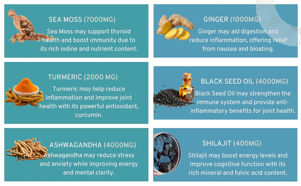 Vitamin C &amp; D3 Elderberry Manuka Dandelion Yellow Dock Iodine Chlorophyll ACV