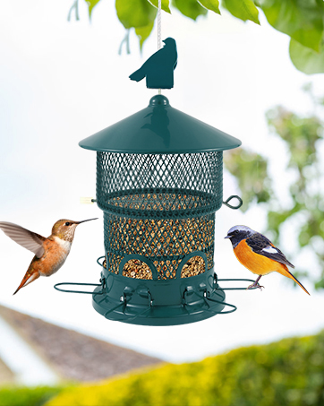 wild bird feeder