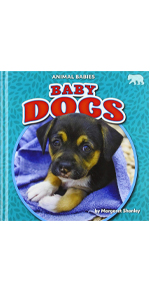 My Favorite Toys! [洋書] Amazon.com: My Favorite Toys - Nonfiction Reading for Grade