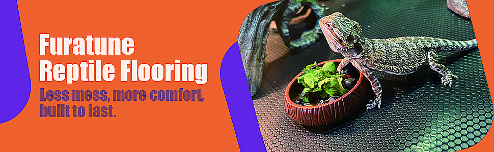 reptile mat
