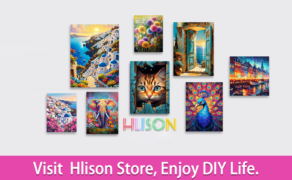 4 Pack Framed Paint by Number for Adults Canvas Flowers