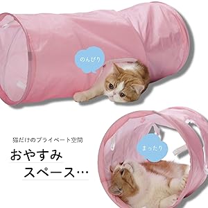 猫　猫壱　キャットトンネル