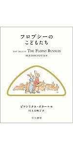 【おまとめ】ボーダーファインアーツ【イチゴ畑のチミー・ベンジャミンバニー】他6点 ミックスゼリー9個詰合せ| プリン・ゼリー・ムース・テリーヌお