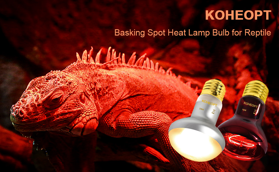reptile heat lamp