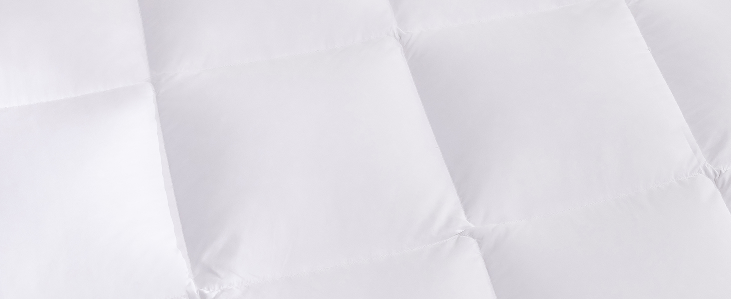 Luxury Goose Feather Down Comforter for Oversized King Size, Ultra-Soft All Season Duvet Insert with Sorona Fill (White, Cf52c9dc 855b 4368 8447 20d962c4fd28. CR0,0,1464,600 PT0 SX1464 V1