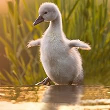 Small manufacture image 7