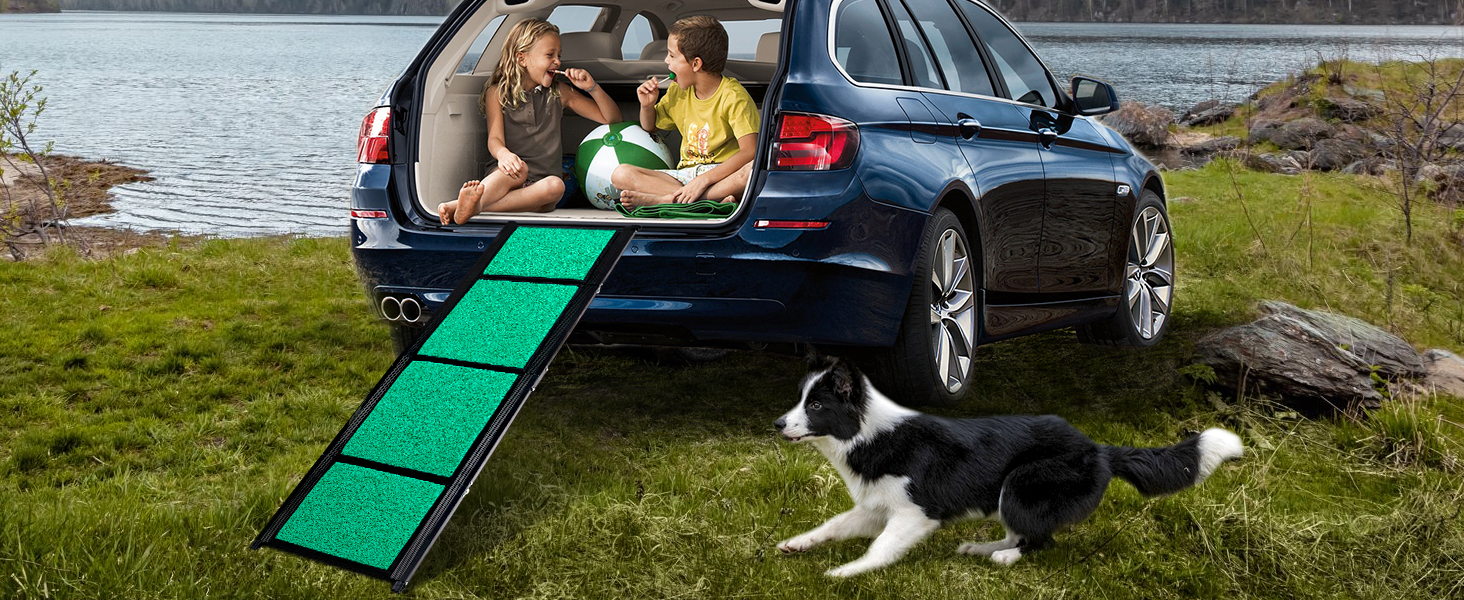 pet ramp for car