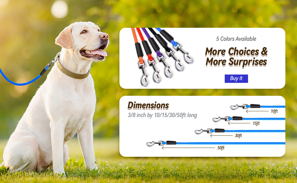 dog leash for small dogs