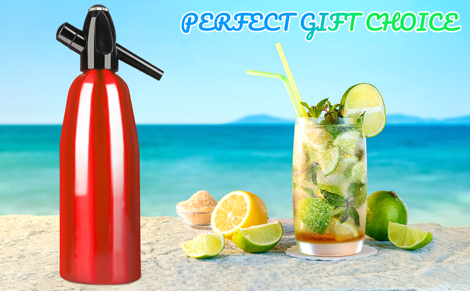 Soda Siphon for Making Soda Water