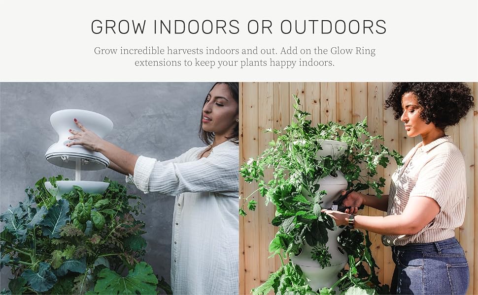 Lettuce Grow Farmstand Starter Kit with Glow Rings and Seedlings Included 36 Plant