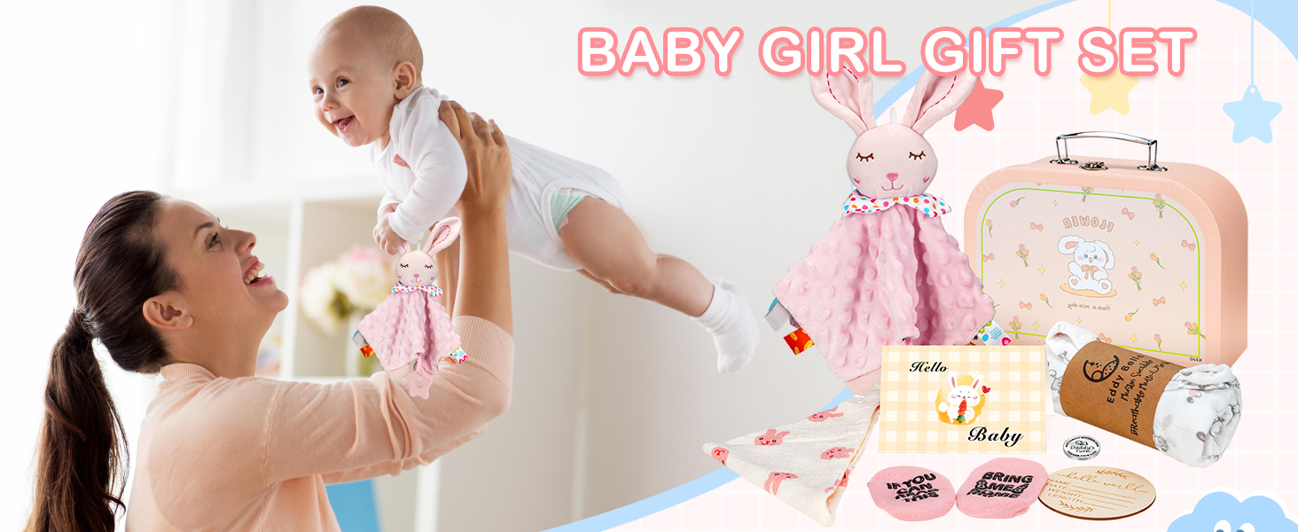 baby girl gift basket