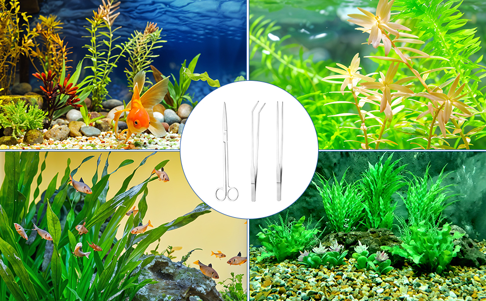 Aquariumszenen mit bunten Fischen und Pflanzen. Enthält ein Bild von drei Aquarienwerkzeugen: Schere, Pinzette und ein gebogenes Werkzeug zur Pflanzenpflege.