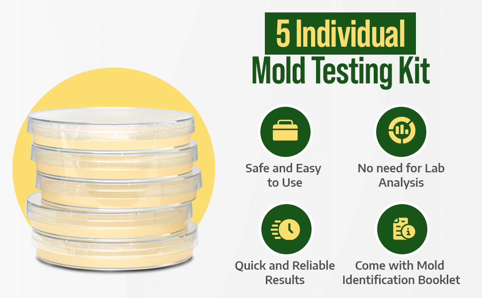 Mold Test Kit for Home 5 Individual Mold Air Test Kit, Mold Detector