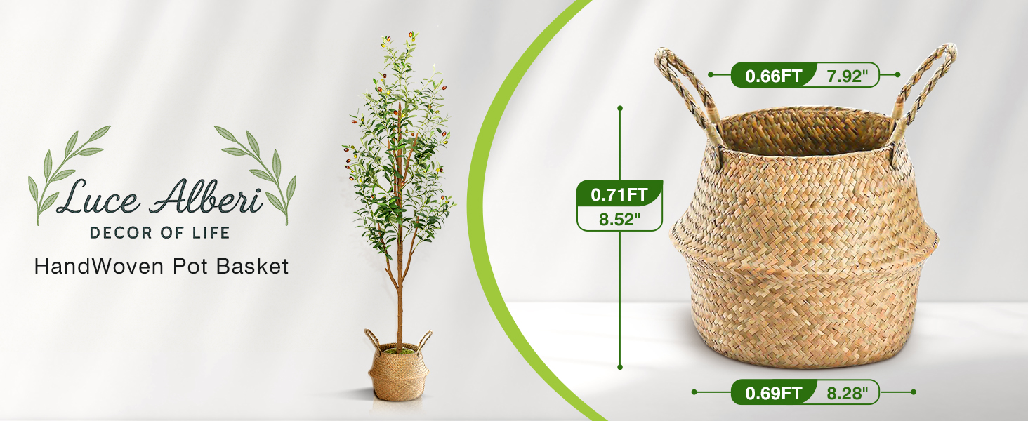 Olive Trees with Planter&Basket