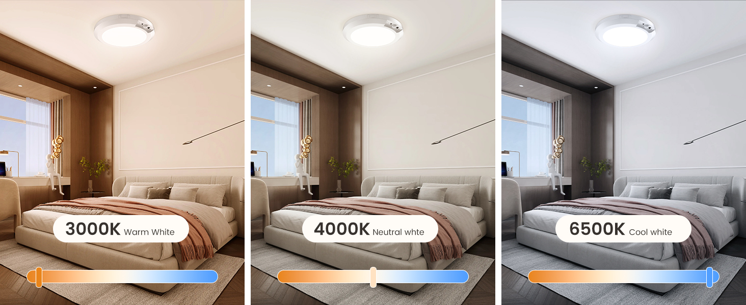 battery ceiling light with remote