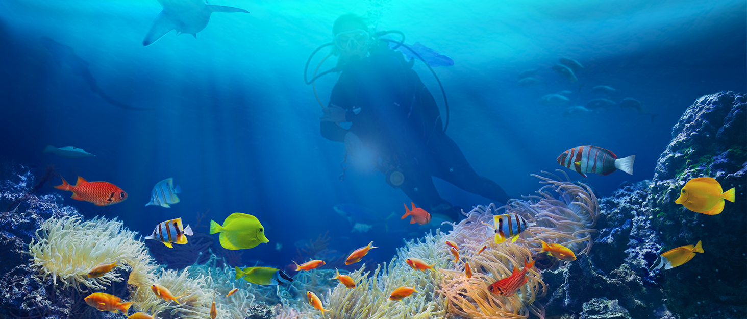 Scuba Diving Flashlight Dive Torch 2000 Lumen Waterproof Underwater