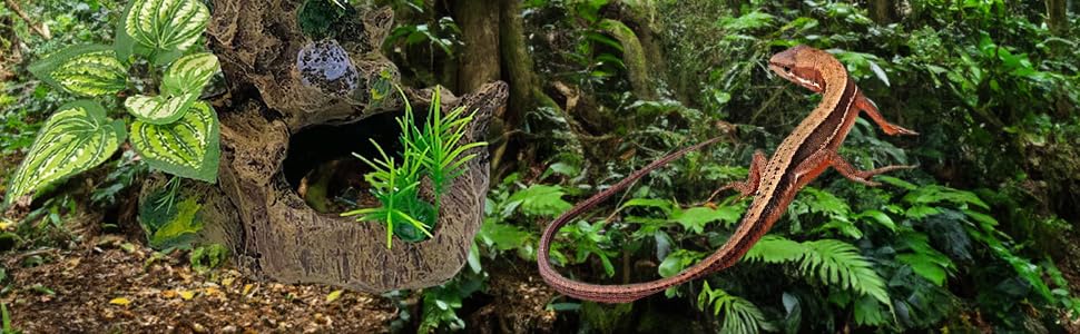 テラリウム空間（イモリ等の両生類の飼育可） ☆イモリ・カエル飼育にオススメ！コケリウム・テラリウム完成品