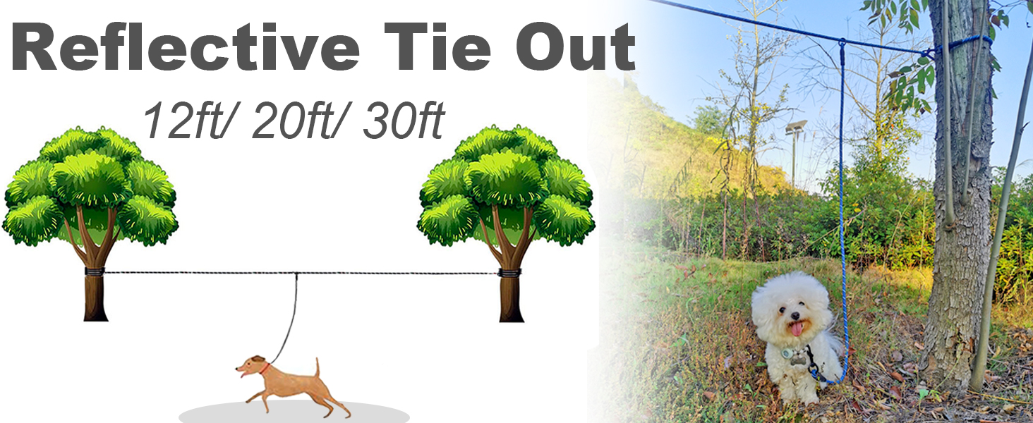 dog tether tie out