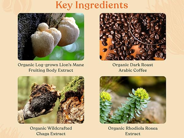 Organic log-grown lions mane, organic arabica coffee, organic chaga, organic rhodiola rosea